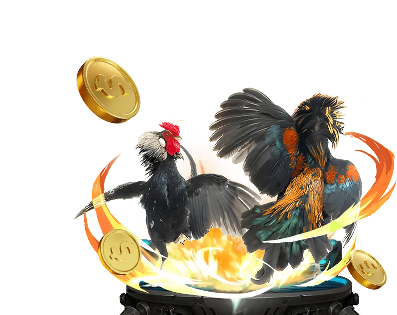 Hình ảnh giới thiệu về nền tảng cá cược 123b